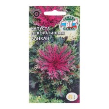 Cabbage flowers 