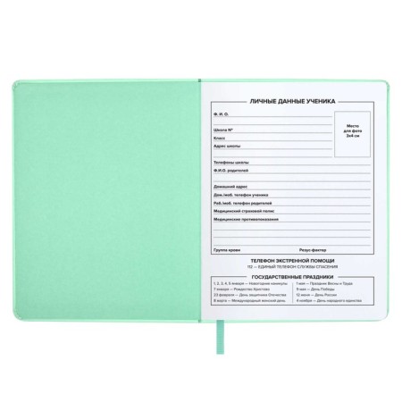 School diary for grades 1-11 Mint, hard cover with foam rubber, artificial leather, application, silkography, liesse, 48 sheets, universal cheat sheet, block 80g/m2-2