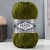 620 swamp green