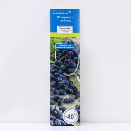 Edible honeysuckle (Northern Garden series) "Desired", 1 pc, tube, spring 2025