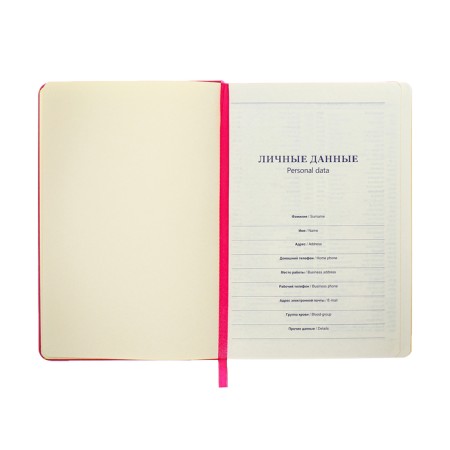 Leduced Diary A5, 140l, cell, leatherette, elastic band, yellow cut, fuchsia-6