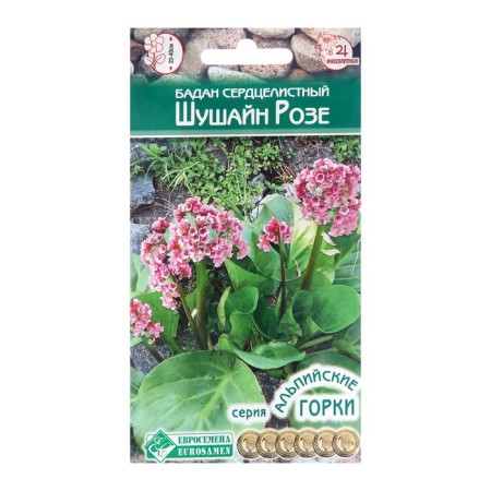 Flowers of Flower Badan Harful "Shushain Rose", 5 pcs