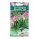 Flowers of Flower Badan Harful "Shushain Rose", 5 pcs