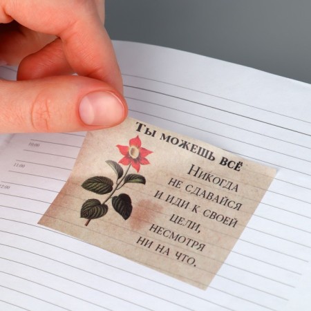 Stickers for the diary "Botanika", tracing paper, 13 x 18 cm-2