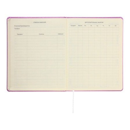 Universal Diary for Butterfly 1-11 grade, solid cover, artificial leather, foamy, foil embroidery, liesse, 80 g/m2-6