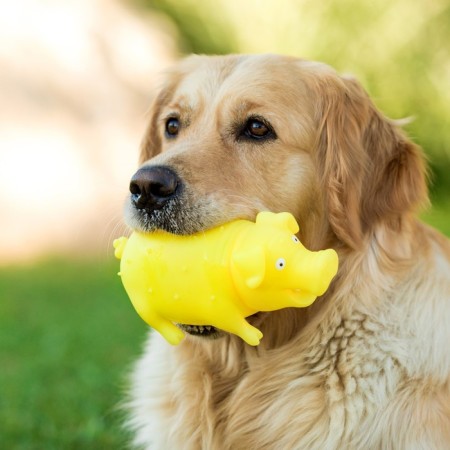 Brying toy "Funny Pig" for dogs, grunting, 19 cm, yellow-5