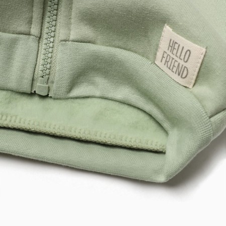 Costume: sweatshirt and pants crumb I Dino, height 80-86, green-4