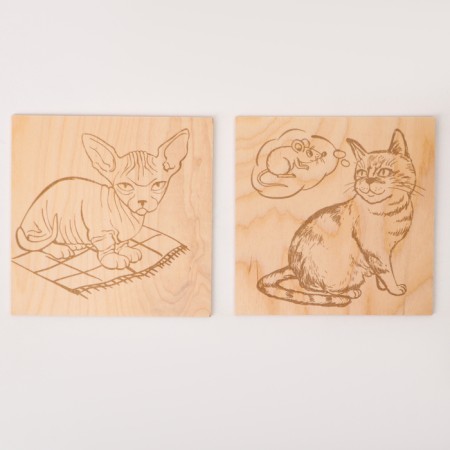 Fundamentals for burning "cats"-1
