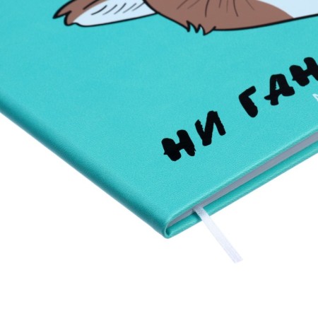 Universal diary for grade 1-11 "Noven Gani!", Firm cover, artificial leather, silkography, lies, 80 g/m2-2