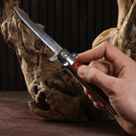 Folding “Calm” knife 23.5cm, blade 110mm/1.6mm-7