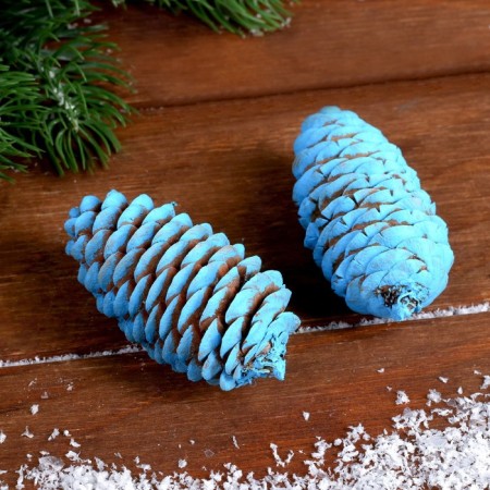 Set of spruce cones "Decor" 2 pcs., Blue-1
