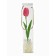 Soap pink tulip in a box