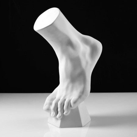Anatomical gypsum figure: vertical foot, 14 x 23.5 x 38 cm-1