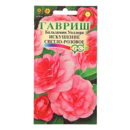 Flower seeds Balzamin Waller "Temptation of light pink" F1, o, 4 pcs.