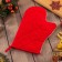 Christmas Red Flowers 20x28cm, Sarzha, 100% Cotton, Vatin 250g/M2