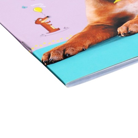 School diary for grades 1-11 "Eared Happiness", covered cardboard, 40 sheets-2
