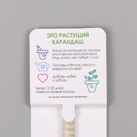 Growing gift pencils Mini "Mint"-2
