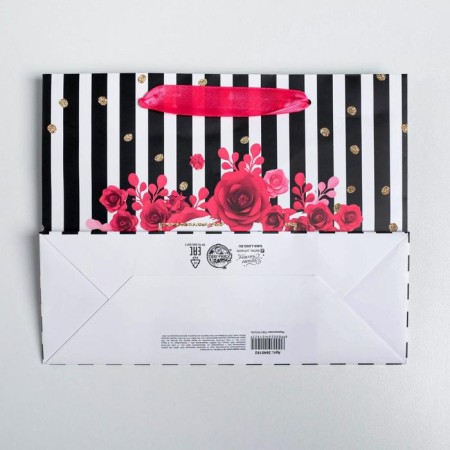 Gift laminated package, packaging, GIFTS, 22 x 17.5 x 8 cm-3