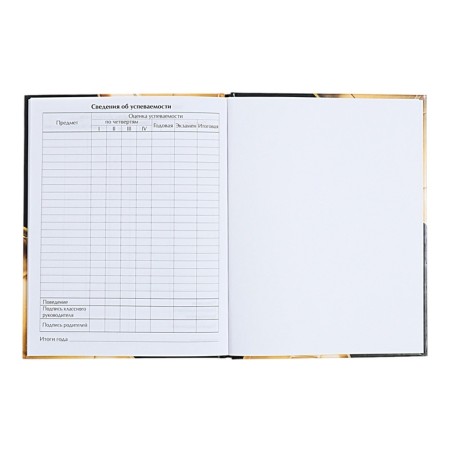 Universal diary for grades 1-11, "golden ball", a solid cover 7BC, glossy lamination, 40 sheets-9