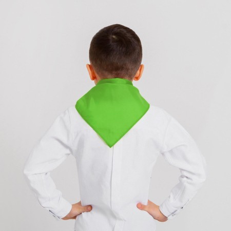 Pioneer tie, green color, shades mix-3
