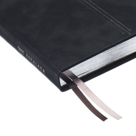 Dated 2025 diary, A5, 176 sheets of Escalada, solid cover of artificial leather, 3D design, foil, liesse embossing, cream block 70 g/m2, black-4