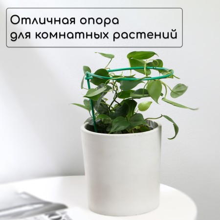 Builder for strawberries, d = 20 cm, h = 25 cm, leg d = 0.3 cm, metal, green, Greengo-1