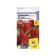 Seeds of flowers CENTISION IS CRIM "Cherry Torch", Curricular, this. ALT, c/n, 10 pcs