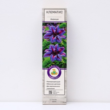 Clematis large -flowered "Akaishi", 1 pc, tube, spring 2025