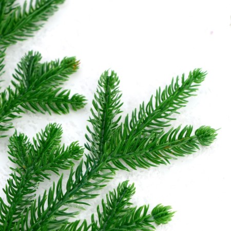 Decor "spruce spray", set 4 pcs., Size 1 pc. - 27 × 11 × 2 cm-2