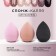 Beauty Fox sponge, increases when getting wet, color mix