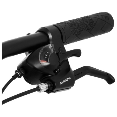 Bicycle 29 "Stinger Element Evo, color, p. 22"-2