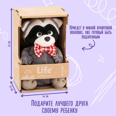 Soft toy "Raccoon Danny in a butterfly", 20 cm-2
