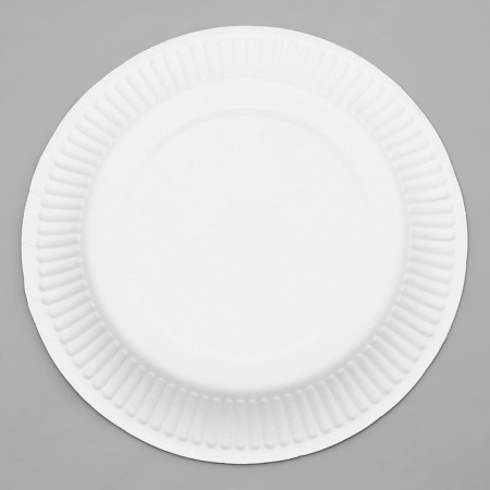 A disposable paper plate "today you can do everything"-2