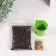 Set for growing plants "grow grass" bucket