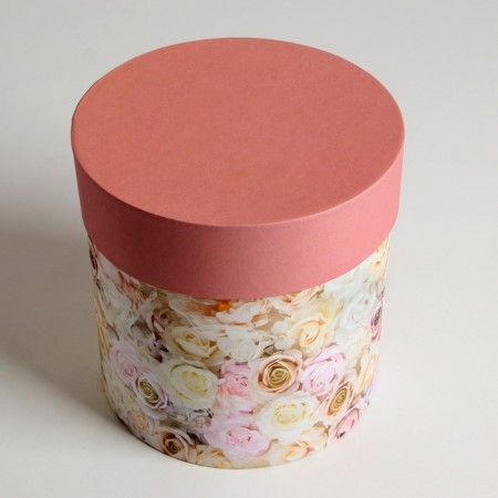 Set of hats 5 v1 "Dream", 20 x 20 - 15 x 15 cm-5