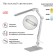 NLED-497-12W-S desktop lamp on the clamp and with the base of silver