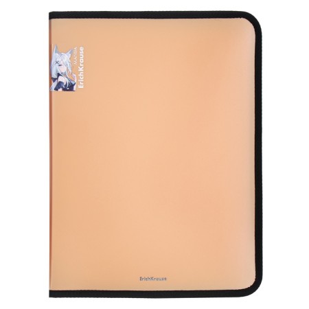 A4+, Erichkrause "Matt Manga", up to 250 sheets, mix-2