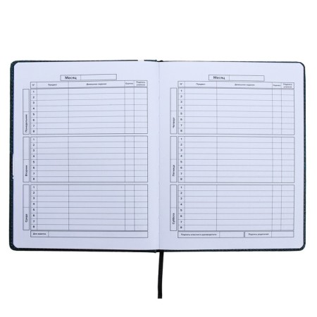 Universal Diary Grade 1-11, 48 sheets of "guitar", a solid cover of artificial leather, lies, an offset unit-8
