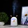 Night with a moisturizer dog on the moon LED USB AKB Gray 8.3x8.3x15 cm Risalux