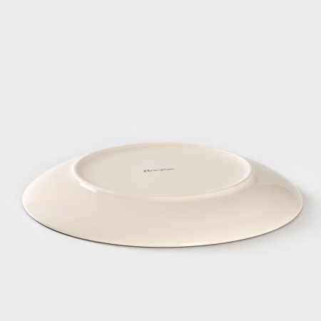 Ceramic Elrington plate “Airgraph. Mint breeze ", d = 27 cm-2
