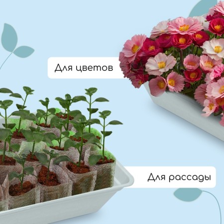 Box for seedlings, 40 × 25 × 10 cm, 5 l, color mix, "crop-4m"-3