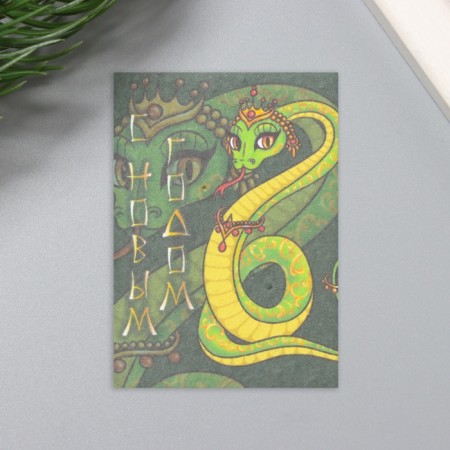 A postcard with the seeds "grow itself" "Happy New Year!" Snake 5*7cm