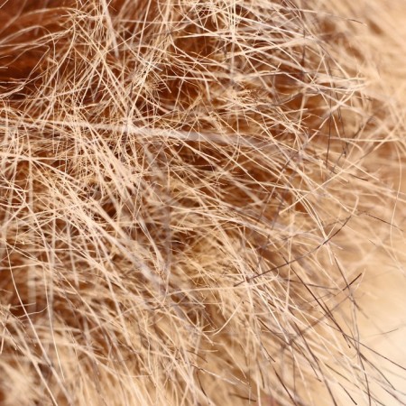 Pompon artificial fur "raccoon" d = 13 cm-1