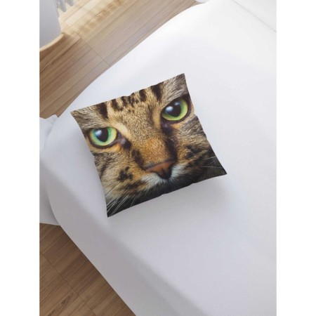 Decorative pillowcase "Focused cat", on a zipper, size 45x45 cm-1