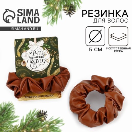 Hair gum for hair "Dreams will come true", brown, diam. 10 cm