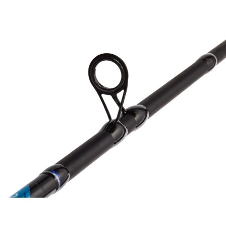 Salmo Aggressor Jerk 100, test 50-100, length 1.8 m.-3