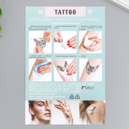 Tattoo "Skull" 10x15 cm-2