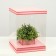 Box for flowers with a vase and PVC windows are folding, saturated pink, 23 x 30 x 23 cm