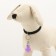 Light beacon on a collar for large and medium dogs, purple