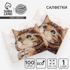 Paper Single -layer “kitten” wipes, set of 100 pieces, 24 × 24 cm